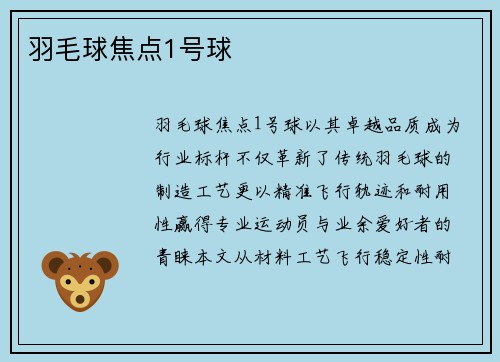 羽毛球焦点1号球